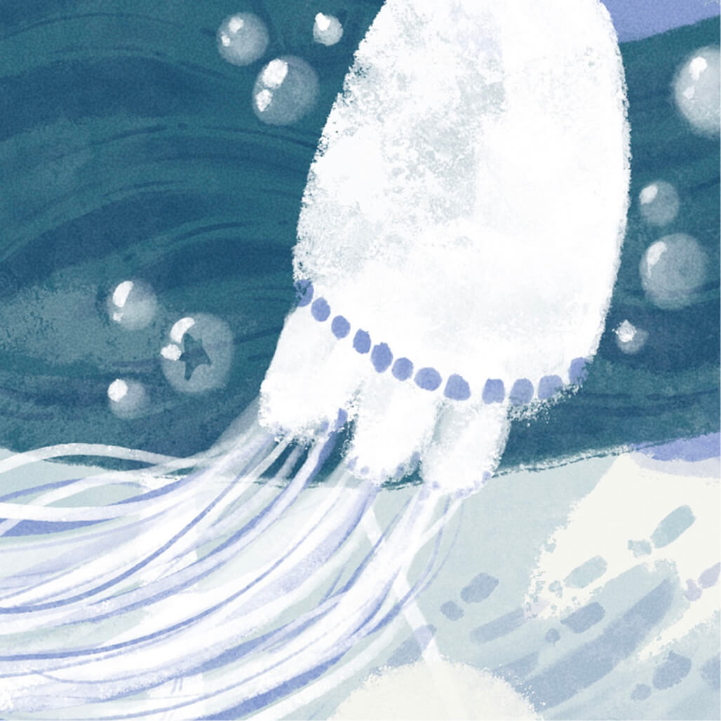 La medusa